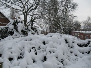 Aufgang zum Kalkberg in Lüneburg