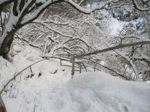 Kalkberg Wanderweg