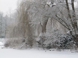 Kurpark Lüneburg im Schnee