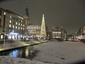 Großer Weihnachtsbaum Alster in Hamburg